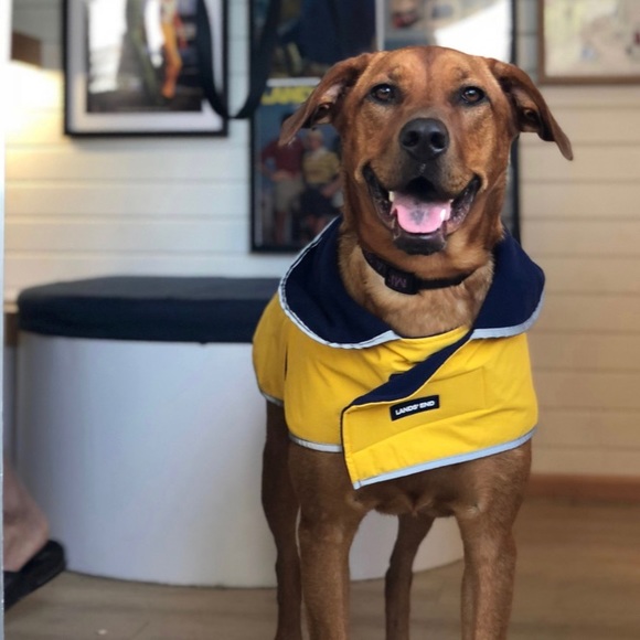 lands end dog squall jacket